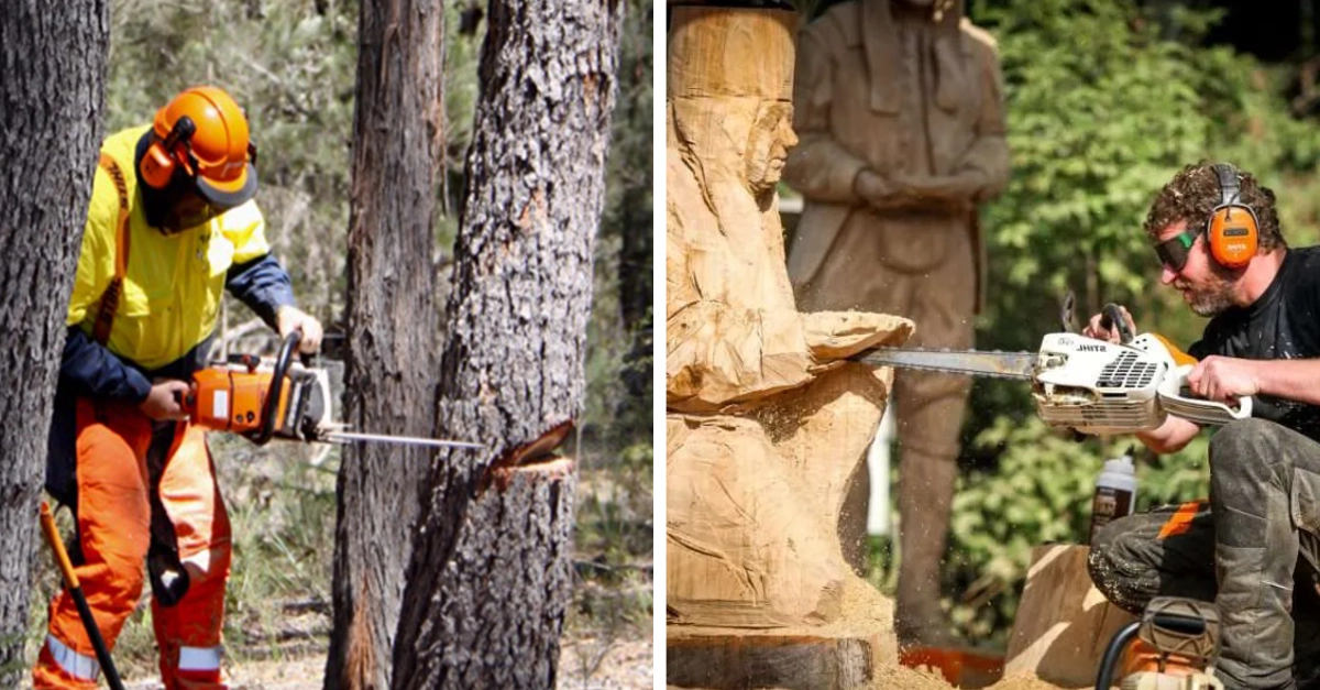 Picture of man using chainsaw to feel a tree and aman creating art with chainsaw
