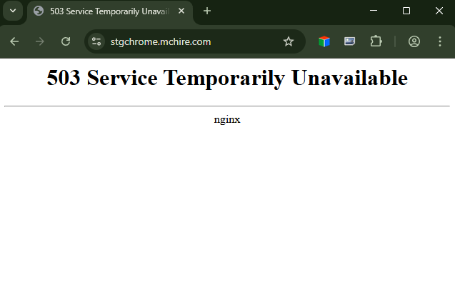 stgchrome-mchire.com 503 error